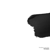 The Bats in Your Hair