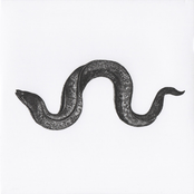 Eel I (reduction) - Single