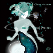 The Story Goes On by Chris Nemmo