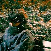 月が綺麗だって