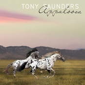 Tony Saunders: APPALOOSA