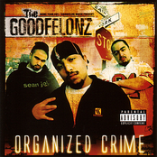 Organized Crime