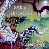 Nakuru by Ozric Tentacles