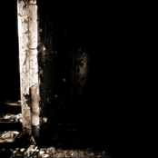 Perichoresis