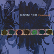 Beautiful Noise (The Apocalypse)