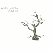 Árvore