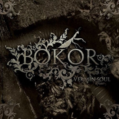 Oh Glory In The Void by Bokor