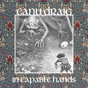 In Capable Hands