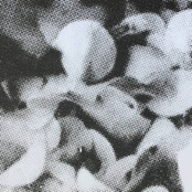 Stages of Grief Vol 1. 'Convalescence'