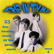 Trip In Tyme Vol. 4