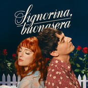 Signorina, buonasera