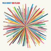 Wild Honey: Big Flash