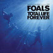 Total Life Forever Album Picture
