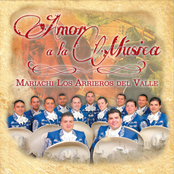 mariachi los arrieros del valle