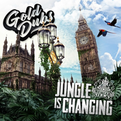 Jungle is Changing