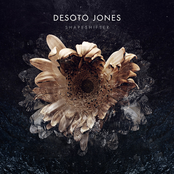 Raised In Wreckage by Desoto Jones