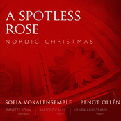 A Spotless Rose: Nordic Christmas