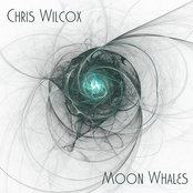 Chris Wilcox: Moon Whales
