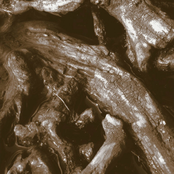 Paysage d'Hiver / Nordlicht