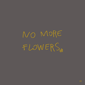 no more flowers