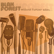 Without Further Adieu...