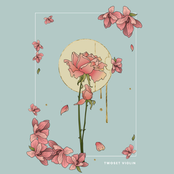 TwoSet Violin: Fantasia