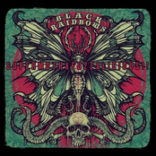 Supermuthafuzzalicious!!