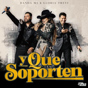 Y Que Soporten - Single