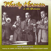 Wrap Your Troubles In Dreams by Woody Herman