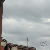 this town, there's something wrong with it