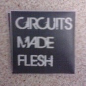 circuits made flesh