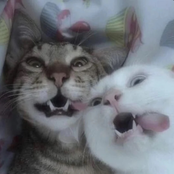 покажи мне свои :т