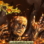 Risen From The Ashes E.P
