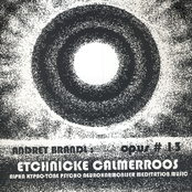ETCHNICKE CALMERROOS / OPUS #13