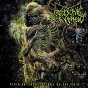 Gravitational Oblivion by Embryonic Devourment