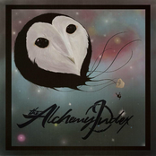 A Bitter Township [Single]