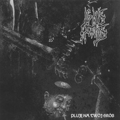 Pluję na twój grób