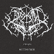 Stench // Rotting Flesh