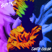 Tanto Color