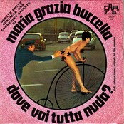 Dove vai tutta nuda?/La serata giusta