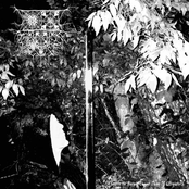 Chaos in the form of lament Demo 2