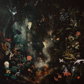 Potions: Old Weather / Bicep