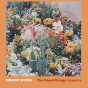 The Blood Orange Sessions