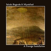 Consensus Of Reality by Saluki Regicide & Mystified
