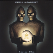 Ninja Ho Down by Ninja Academy