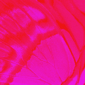 escape - Single