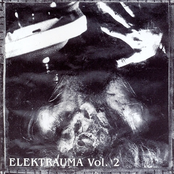Elektrauma Vol. 2