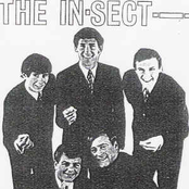 the in-sect