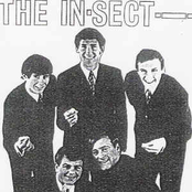 The In-sect