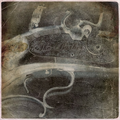 Last rebel of civil war